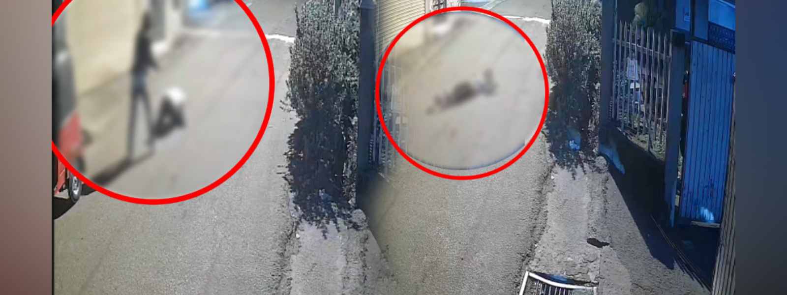 වෙඩි තැබීමකින් කංජිපානි ඉම්රාන්ගේ ගෝලයෙකු මියයයි